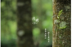 创达2025年清明节放假通知
